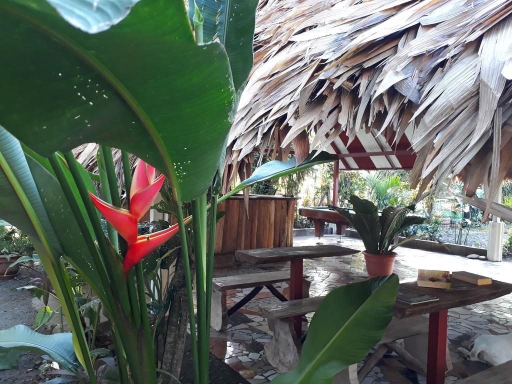 Talamanca Cabins Cahuita Eksteriør billede